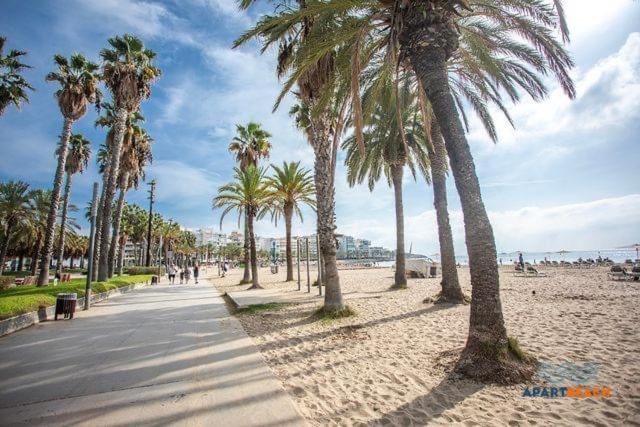 Apartbeach Golden I Muy Luminoso Junto Playa Y Climatizado 萨洛 外观 照片